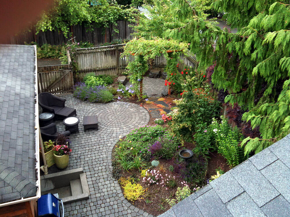 Lush Urban Oasis - After: Circular paved patio with beautiful native plant installation